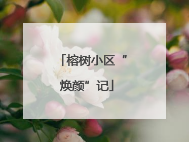榕树小区“焕颜”记