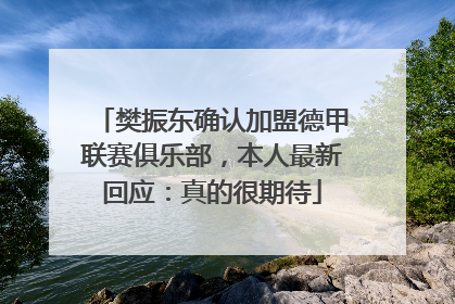 樊振东确认加盟德甲联赛俱乐部，本人最新回应：真的很期待
