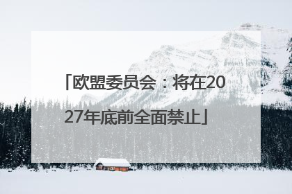 欧盟委员会：将在2027年底前全面禁止