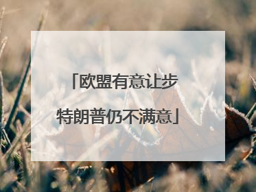 欧盟有意让步 特朗普仍不满意