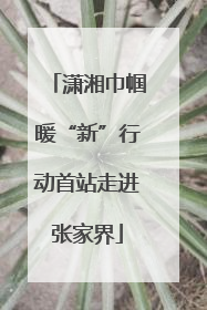 潇湘巾帼暖“新”行动首站走进张家界