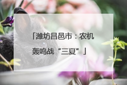 潍坊昌邑市：农机轰鸣战“三夏”