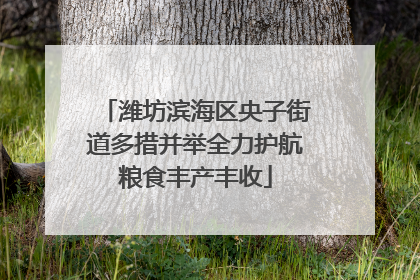 潍坊滨海区央子街道多措并举全力护航粮食丰产丰收