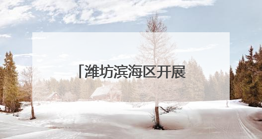 潍坊滨海区开展2025年“一喷三防”工作