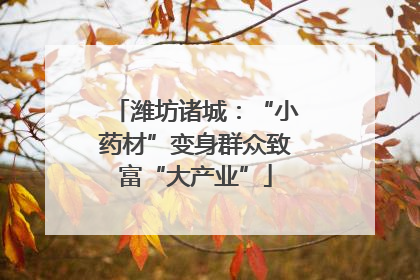 潍坊诸城：“小药材”变身群众致富“大产业”