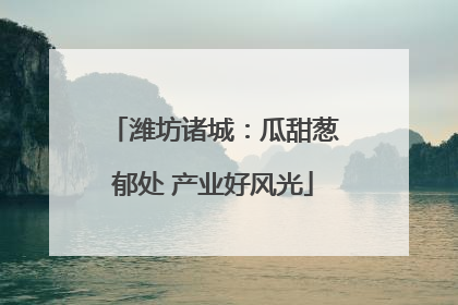 潍坊诸城：瓜甜葱郁处 产业好风光