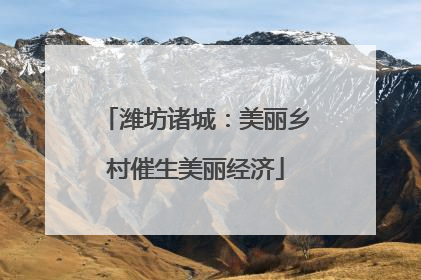 潍坊诸城：美丽乡村催生美丽经济