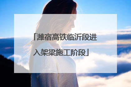 潍宿高铁临沂段进入架梁施工阶段