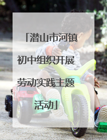 潜山市河镇初中组织开展劳动实践主题活动