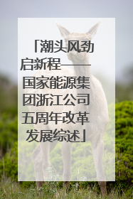 潮头风劲启新程——国家能源集团浙江公司五周年改革发展综述