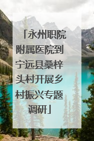 永州职院附属医院到宁远县桑梓头村开展乡村振兴专题调研
