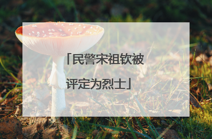 民警宋祖钦被评定为烈士