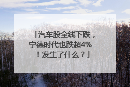汽车股全线下跌，宁德时代也跌超4%！发生了什么？