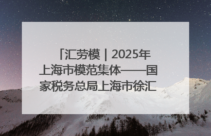 汇劳模｜2025年上海市模范集体——国家税务总局上海市徐汇区税务局第一税务所