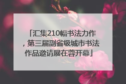 汇集210幅书法力作，第三届副省级城市书法作品邀请展在蓉开幕