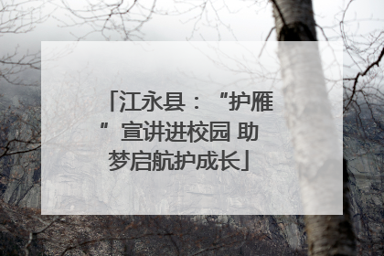 江永县：“护雁”宣讲进校园 助梦启航护成长