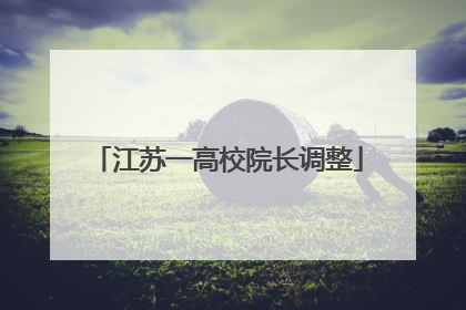 江苏一高校院长调整