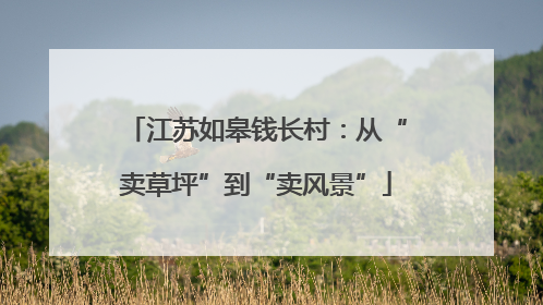 江苏如皋钱长村：从“卖草坪”到“卖风景”