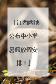 江西两地公布中小学暑假放假安排！