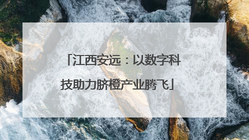 江西安远：以数字科技助力脐橙产业腾飞