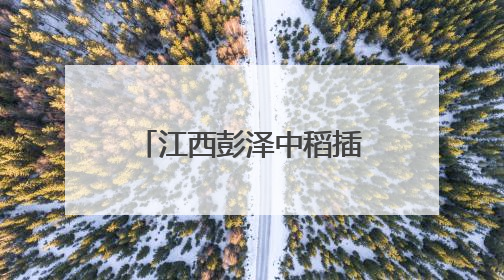 江西彭泽中稻插秧正当时 “稻虾共作”促农增收