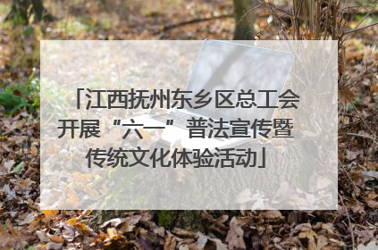 江西抚州东乡区总工会开展“六一”普法宣传暨传统文化体验活动