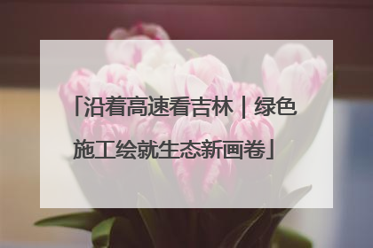 沿着高速看吉林｜绿色施工绘就生态新画卷