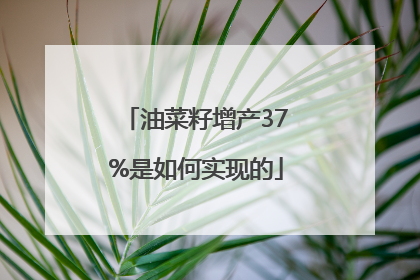 油菜籽增产37%是如何实现的
