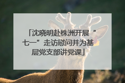 沈晓明赴株洲开展“七一”走访慰问并为基层党支部讲党课