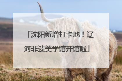沈阳新增打卡地！辽河非遗美学馆开馆啦