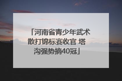 河南省青少年武术散打锦标赛收官 塔沟强势摘40冠