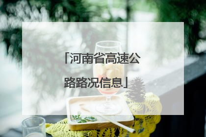 河南省高速公路路况信息