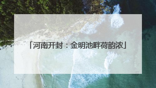 河南开封：金明池畔荷韵浓