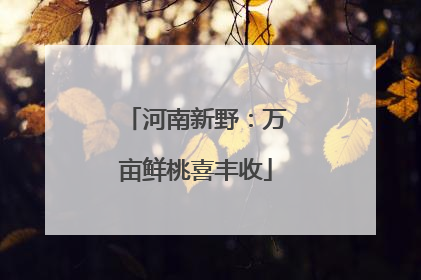 河南新野：万亩鲜桃喜丰收