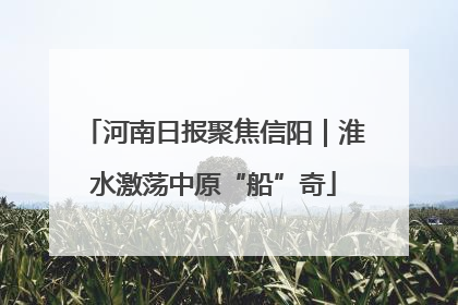 河南日报聚焦信阳｜淮水激荡中原“船”奇