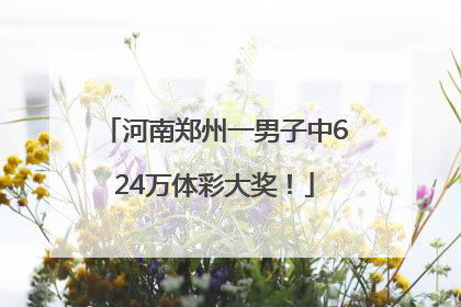 河南郑州一男子中624万体彩大奖！