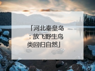 河北秦皇岛：放飞野生鸟类回归自然