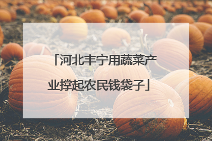河北丰宁用蔬菜产业撑起农民钱袋子