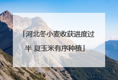 河北冬小麦收获进度过半 夏玉米有序种植
