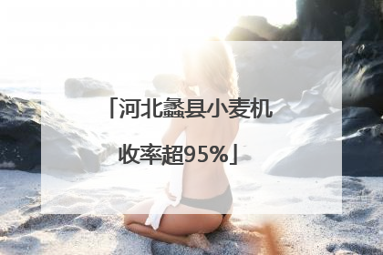河北蠡县小麦机收率超95%