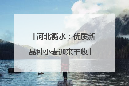 河北衡水：优质新品种小麦迎来丰收