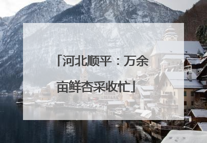 河北顺平：万余亩鲜杏采收忙