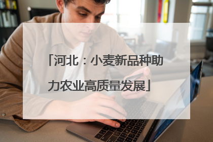 河北：小麦新品种助力农业高质量发展