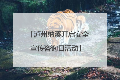 泸州纳溪开启安全宣传咨询日活动