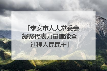 泰安市人大常委会凝聚代表力量赋能全过程人民民主