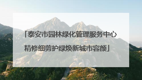 泰安市园林绿化管理服务中心精修细剪护绿焕新城市容颜