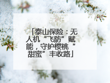 泰山保险：无人机“飞防”赋能，守护樱桃“甜蜜”丰收路