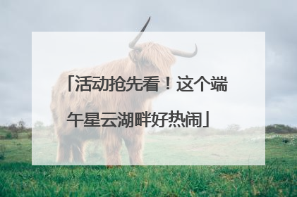 活动抢先看！这个端午星云湖畔好热闹