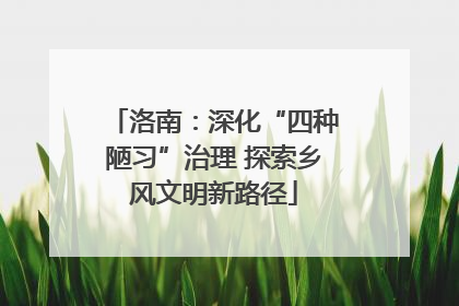 洛南：深化“四种陋习”治理 探索乡风文明新路径