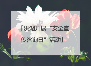 洪湖开展“安全宣传咨询日”活动